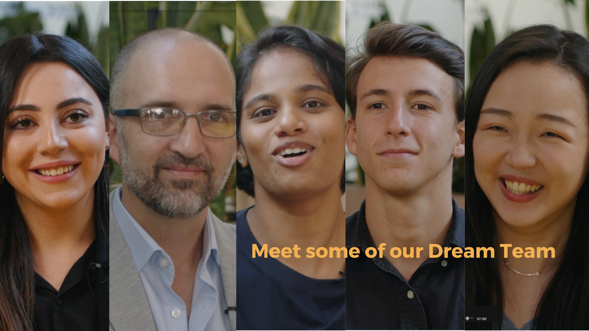 Meet some of our Dream Team